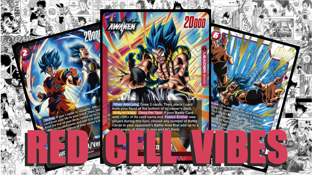 FB09 - Gogeta: BR Guide